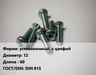 Винт установочный, с цапфой 12х60 DIN 915